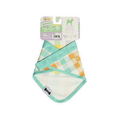 Woof Suns Out Pet Bandana