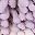 Pink Purple