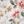 Meadow Floral Beige