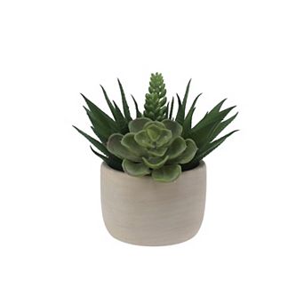 Everyday Decor Artificial Mixed Succulent in Ceramic Pot Table Decor