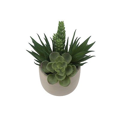 Everyday Decor Artificial Mixed Succulent in Ceramic Pot Table Decor
