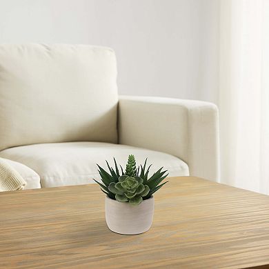 Everyday Decor Artificial Mixed Succulent in Ceramic Pot Table Decor