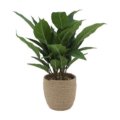 Everyday Decor Artificial Peace Lily Plant in Rope Basket