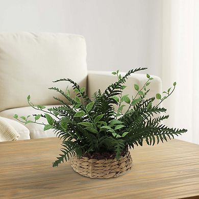 Everyday Decor Artificial Fern in Woven Planter