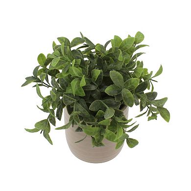 Everyday Decor Artificial Boxwood in Ribbed Ceramic Pot