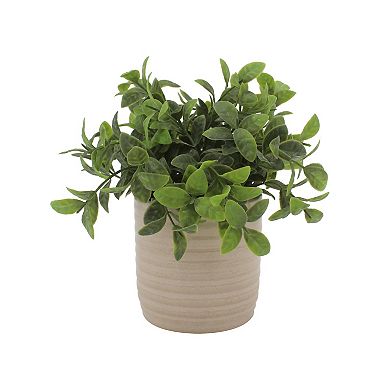 Everyday Decor Artificial Boxwood in Ribbed Ceramic Pot