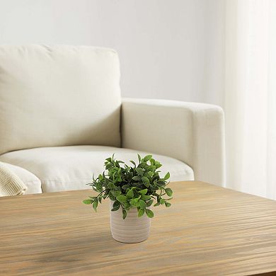 Everyday Decor Artificial Boxwood in Ribbed Ceramic Pot