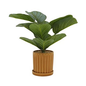 Everyday Decor Artificial Prayer Plant in Ceramic Planter Table Decor