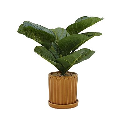 Everyday Decor Artificial Prayer Plant in Ceramic Planter Table Decor