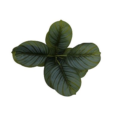 Everyday Decor Artificial Prayer Plant in Ceramic Planter Table Decor