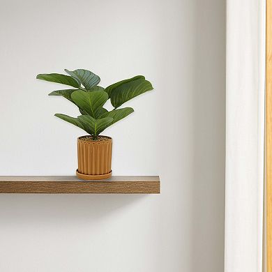 Everyday Decor Artificial Prayer Plant in Ceramic Planter Table Decor