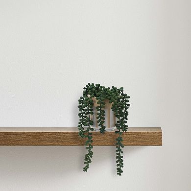 Everyday Decor Artificial String of Pearls Succulent in Striped Pot