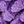 Yellow Purple