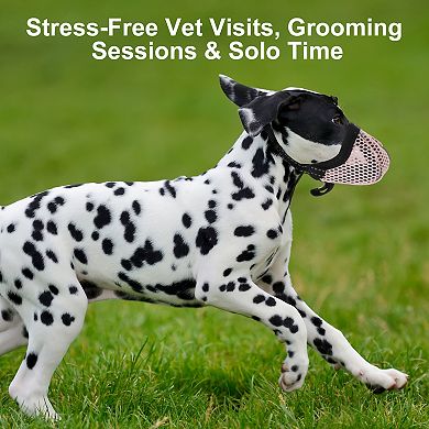 Muzzle for Small Dog, Breathable Muzzle, Reflective Adjustable Basket Muzzle w Air Mesh 4.88"-6.18"