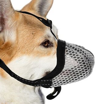 Muzzle for Small Dog, Breathable Muzzle, Reflective Adjustable Basket Muzzle w Air Mesh 4.88"-6.18"