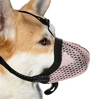 Muzzle for Small Dog, Breathable Muzzle, Reflective Adjustable Basket Muzzle w Air Mesh 4.88"-6.18"