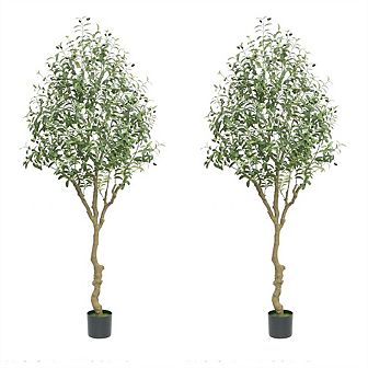 2 pc Artificial Olive Tree, Artificial Olive Tree Indoor With Natural Wood Trunk