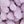 Green Purple