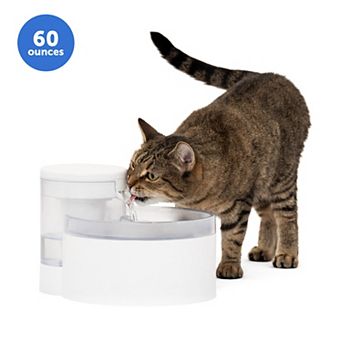 PetSafe® Outlast™ 60-oz. Pumpless Pet Fountain