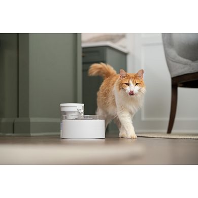 PetSafe® Outlast™ 60-oz. Pumpless Pet Fountain