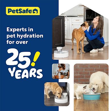 PetSafe® Outlast™ 128-oz. Pumpless Pet Fountain