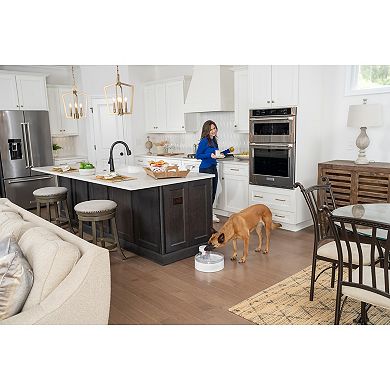 PetSafe® Outlast™ 128-oz. Pumpless Pet Fountain