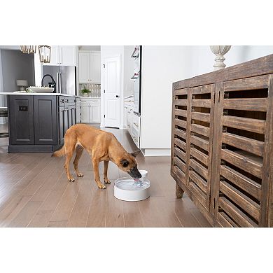 PetSafe® Outlast™ 128-oz. Pumpless Pet Fountain