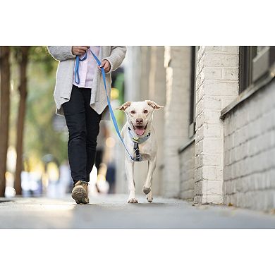 PetSafe® Easy Walk® Comfort Harness