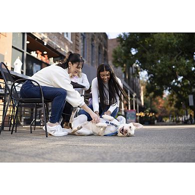 PetSafe® Easy Walk® Comfort Harness