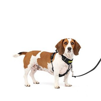 PetSafe® Easy Walk® Comfort Harness