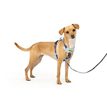 PetSafe® Easy Walk® Comfort Harness