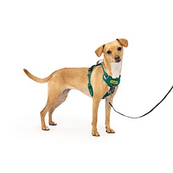 PetSafe® Easy Walk® Comfort Harness