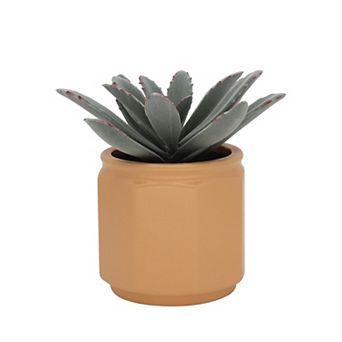 Everyday Decor Artificial Sage Succulent in Ceramic Planter