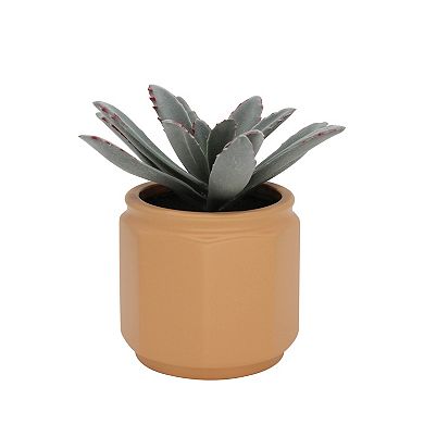 Everyday Decor Artificial Sage Succulent in Ceramic Planter