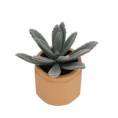 Everyday Decor Artificial Sage Succulent in Ceramic Planter