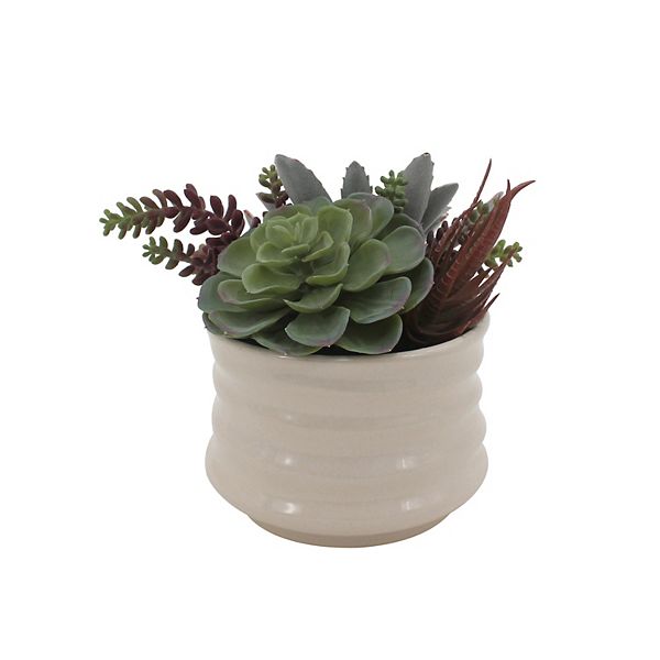 Sonoma Goods For Life® Artificial Succulent in Ceramic Planter