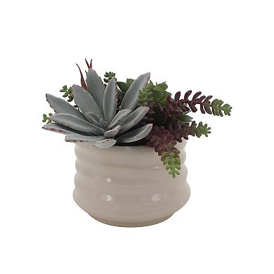 Everyday Decor Artificial Succulent in Ceramic Planter