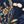 Navy Outbacked