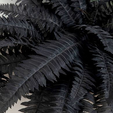 Nearly Natural 40-Inch Black Artificial Boston Fern 2-Piece Set