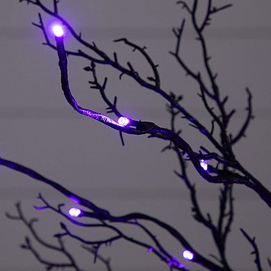 nearly natural 3-ft. Pre-Lit Artificial Black Twig Tree with 36 LED Lights