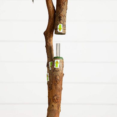 Nearly Natural 6-ft. Artificial Halloween Black Willow Tree