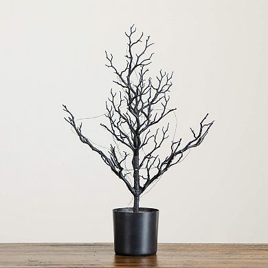 Nearly Natural 2-ft. Pre-Lit Artificial Halloween Twig Tree with LED Lights
