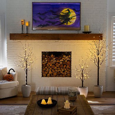 nearly natural 3-pk. Artificial Birch Trees with Warm White LED Lights