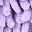 Purple Leaf Green Leaf