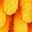 Orange Leaf