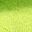 Purpleleaf Lightgreen