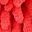 Red Leaf Yellow