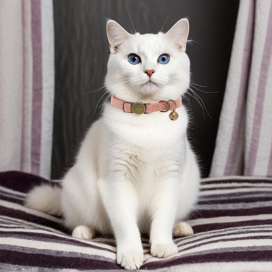 Cat Collar, Adjustable Breakaway Feature, PU Cat Collar Breakaway with Bell