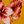 Mustard Coral Peach