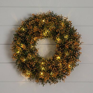 Nearly Natural 18-Inch Pre-Lit Artificial Boxwood Fall Wreath with LED Lights